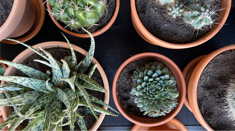 Le Square - restaurant Marseille - restaurant Marseille